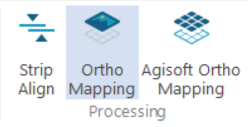 Ortho Mapping