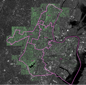 Figure 2: Varying tree canopy