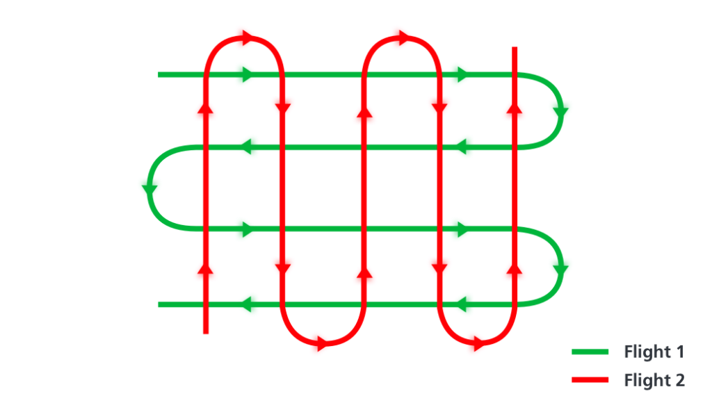 Picture showing 2 Grid-survey flights for Strip Adjustment for Multiple flights