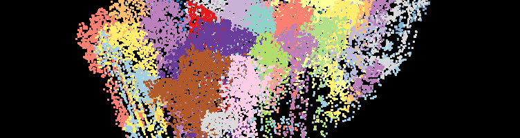 3D Map View of Segmented Tree LAS